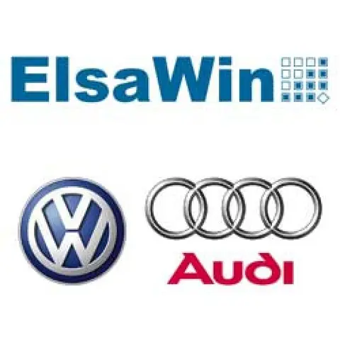 Audi ELSA Win - диагностическое оборудование